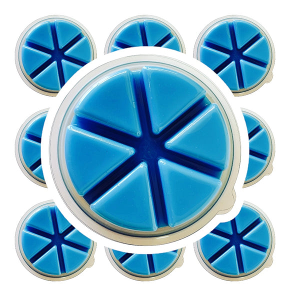100g Pixie Sparkle Wax Melt Deli Pot