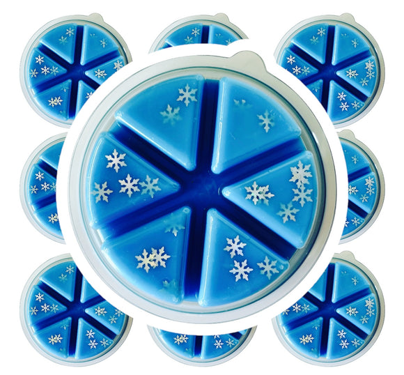 100g Ice Queen Wax Melt Deli Pot