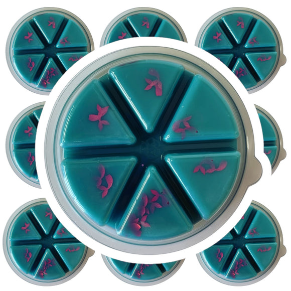 100g Mermaid Wishes Wax Melt Deli Pot