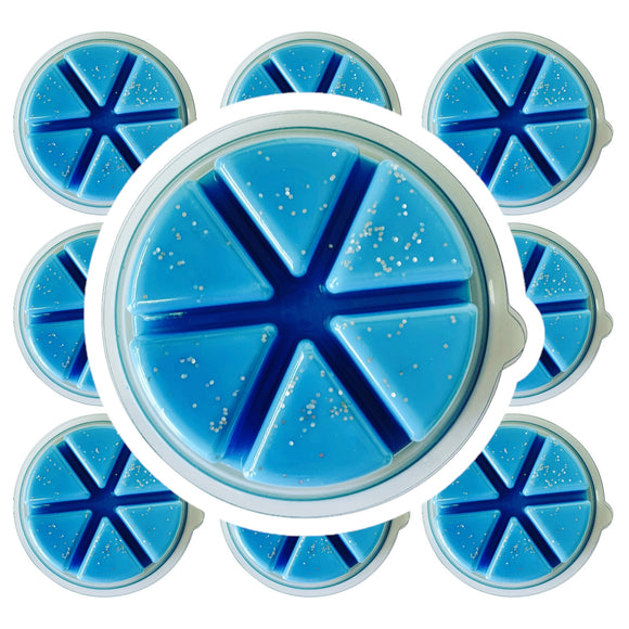 100g Salty Sea Air Wax Melt Deli Pot