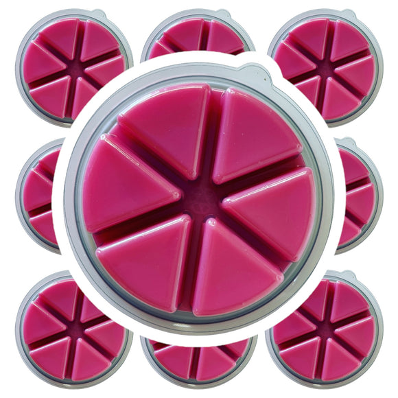 100g Vibrant Bliss Wax Melt Deli Pot